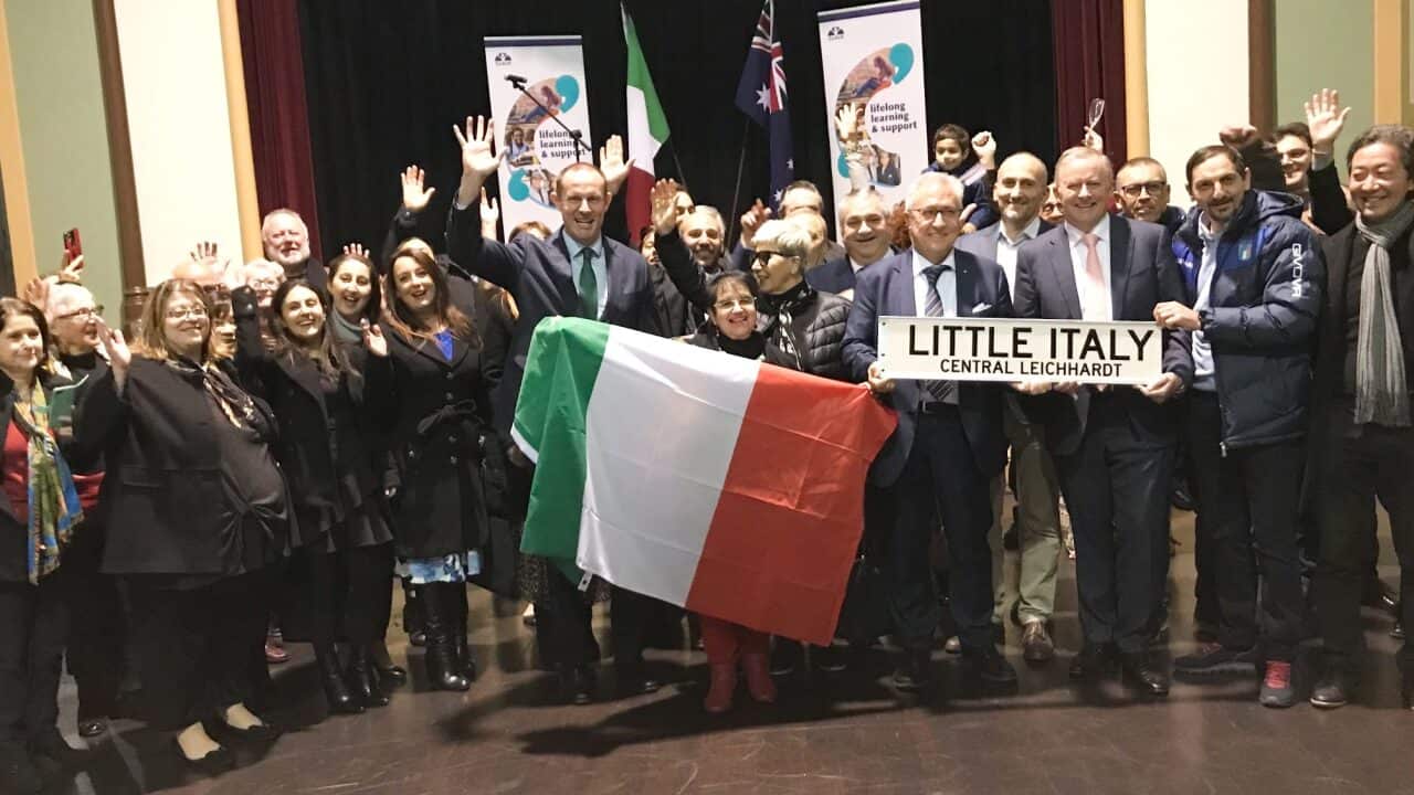 little italy celebration