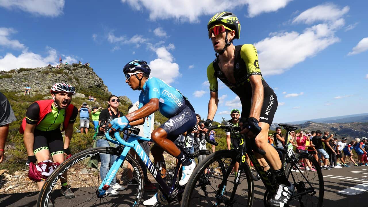 Nairo Quintana (Movistar) and Simon Yates (Mitchelton-Scott) go toe-to-toe on the final climb of Stage 13 of the 2018 La Vuelta a Espana (Getty)