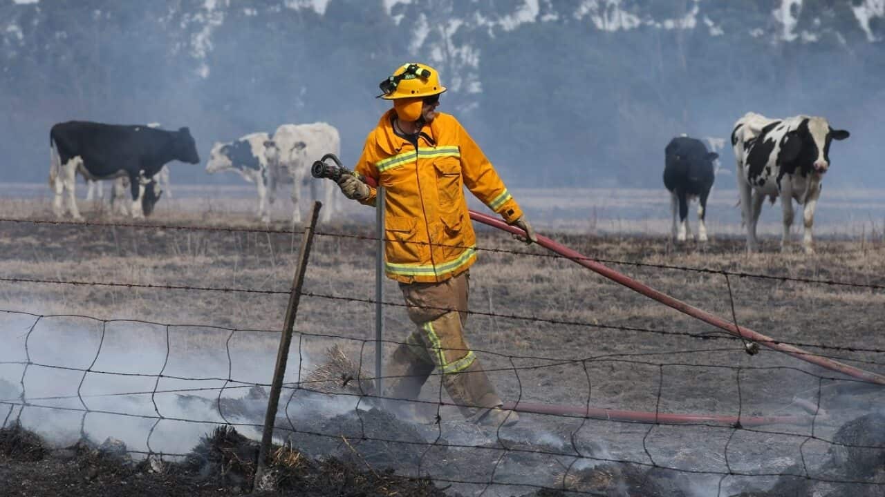Fire fighters put out hot spots.