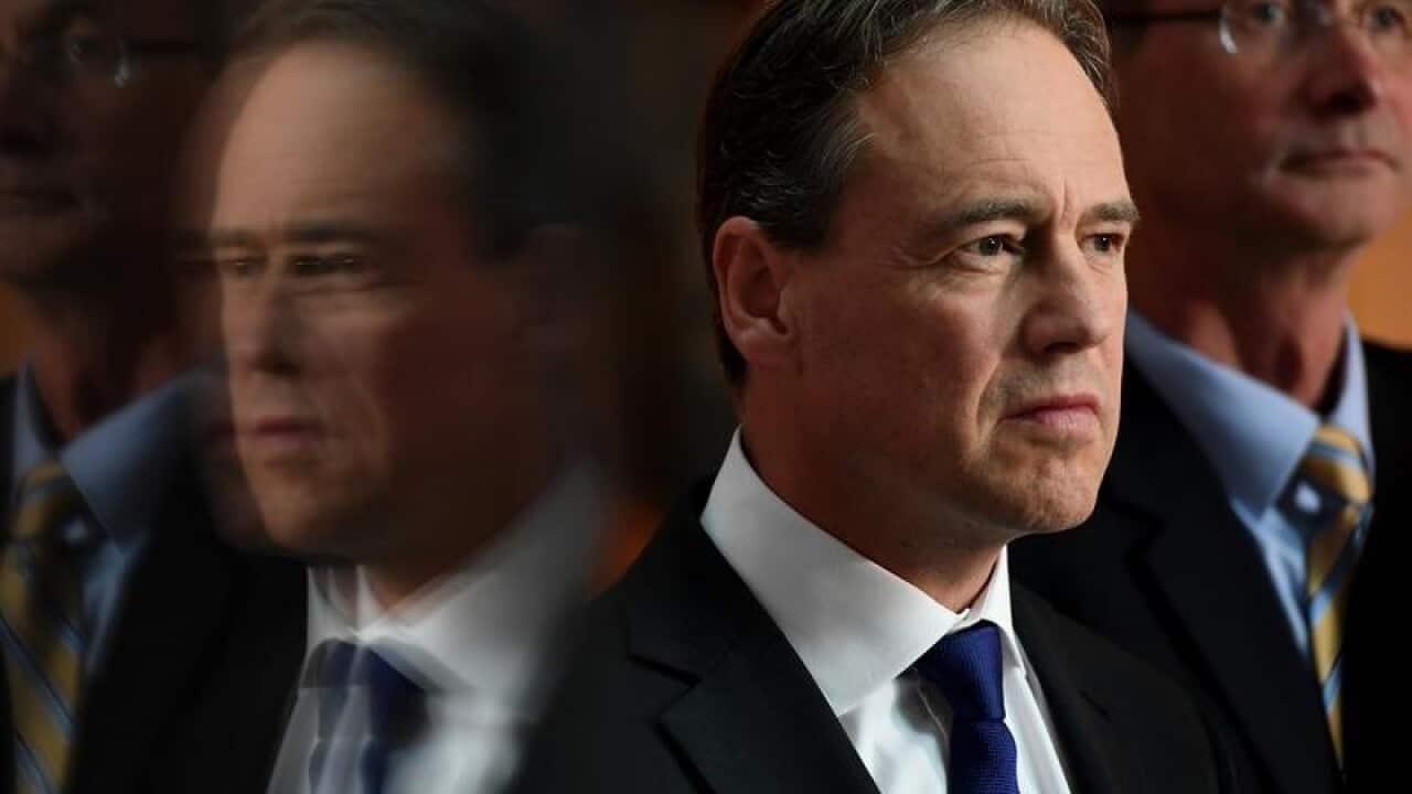 Federal Health Minister Greg Hunt speaks to media.