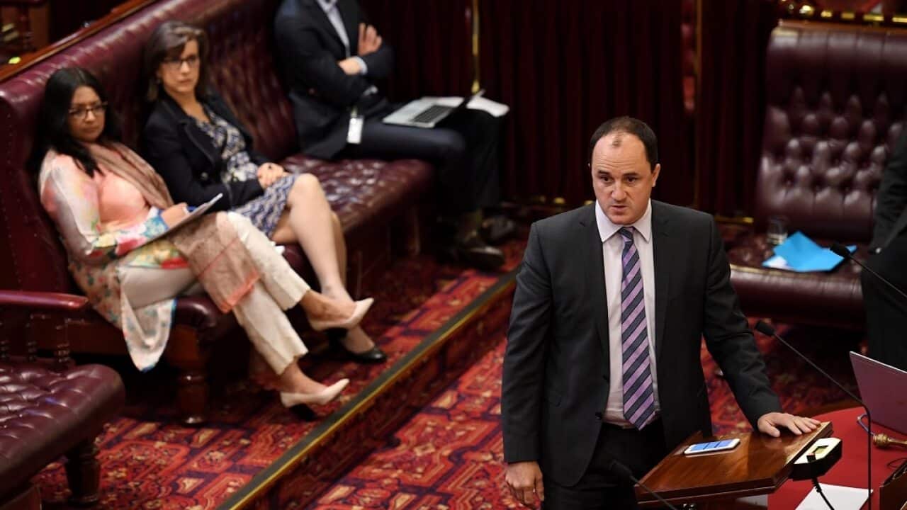 Greens MP, Jeremy Buckingham, speaks before a vote on the NSW bill to decriminalise abortion in the Legislative Council at the NSW Parliament House in Sydney on Thursday, May 11, 2017. (AAP Image/Paul Miller) NO ARCHIVING