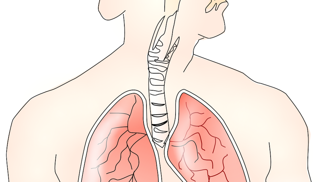 Image for read more article 'READ MORE'