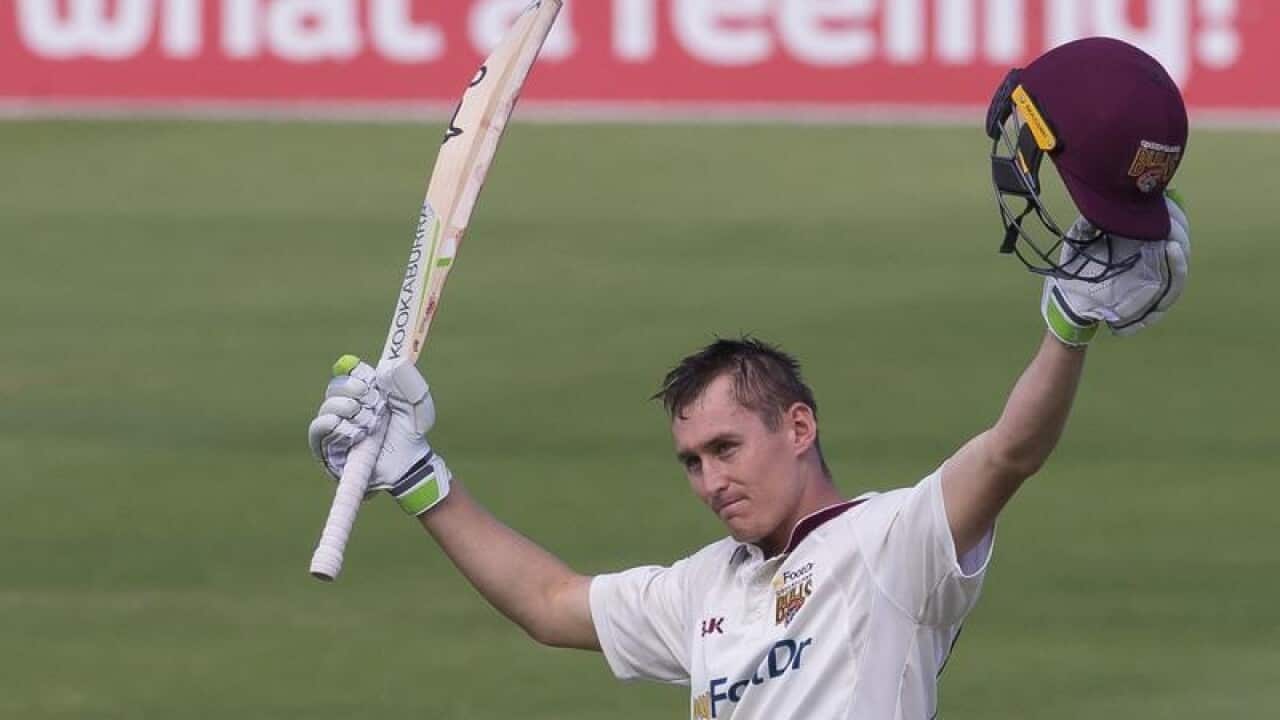 cricket