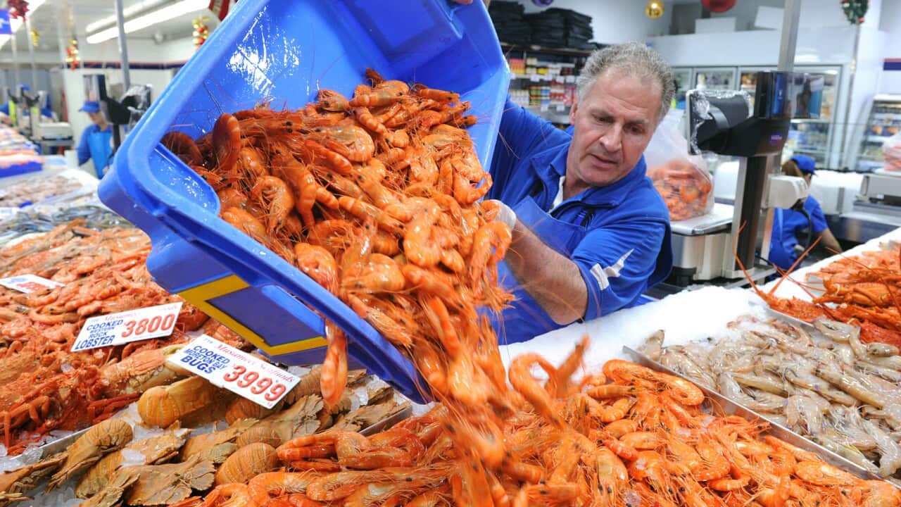 Workers restock prawns at the Sydney Fish Market