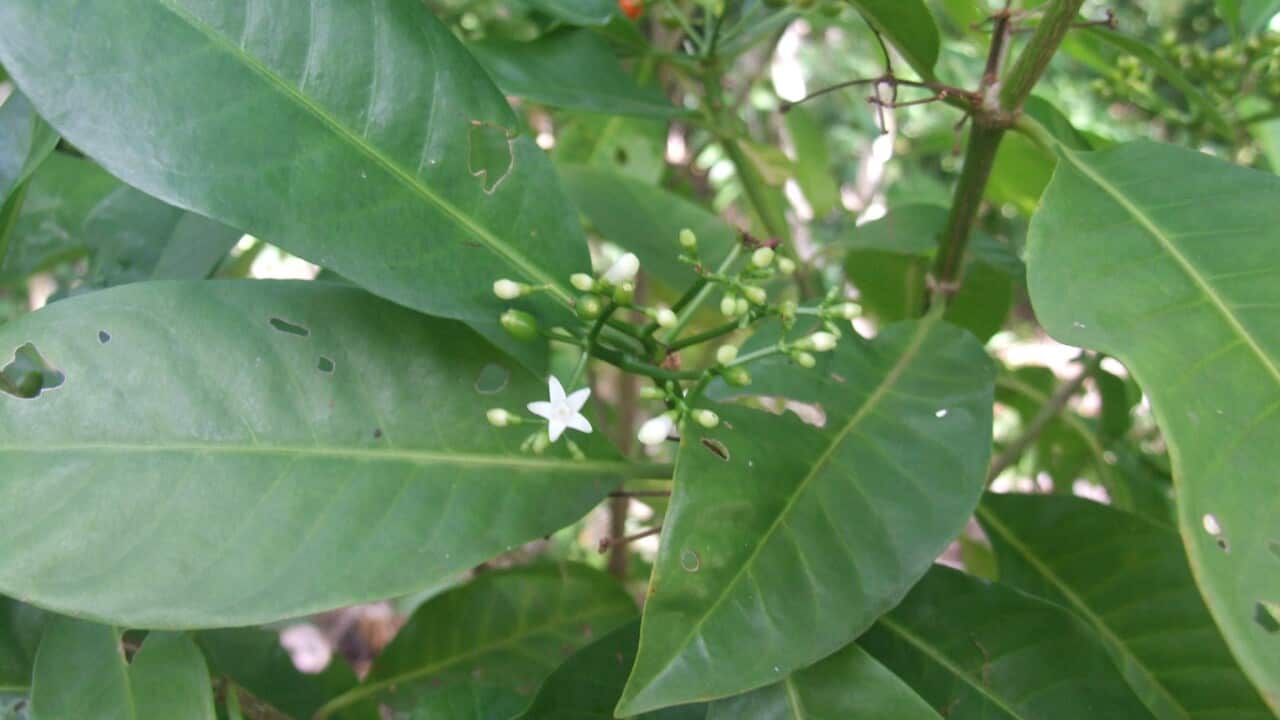 Image for read more article 'READ MORE'