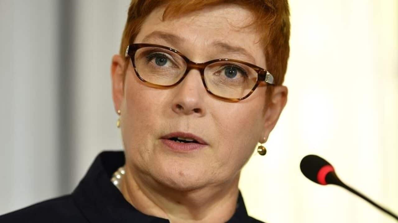 Foreign Minister Marise Payne says the government is committed to tackling climate change.