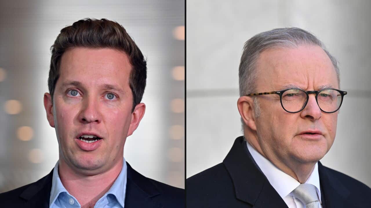 Composite image of Max Chandler-Mather and Anthony Albanese