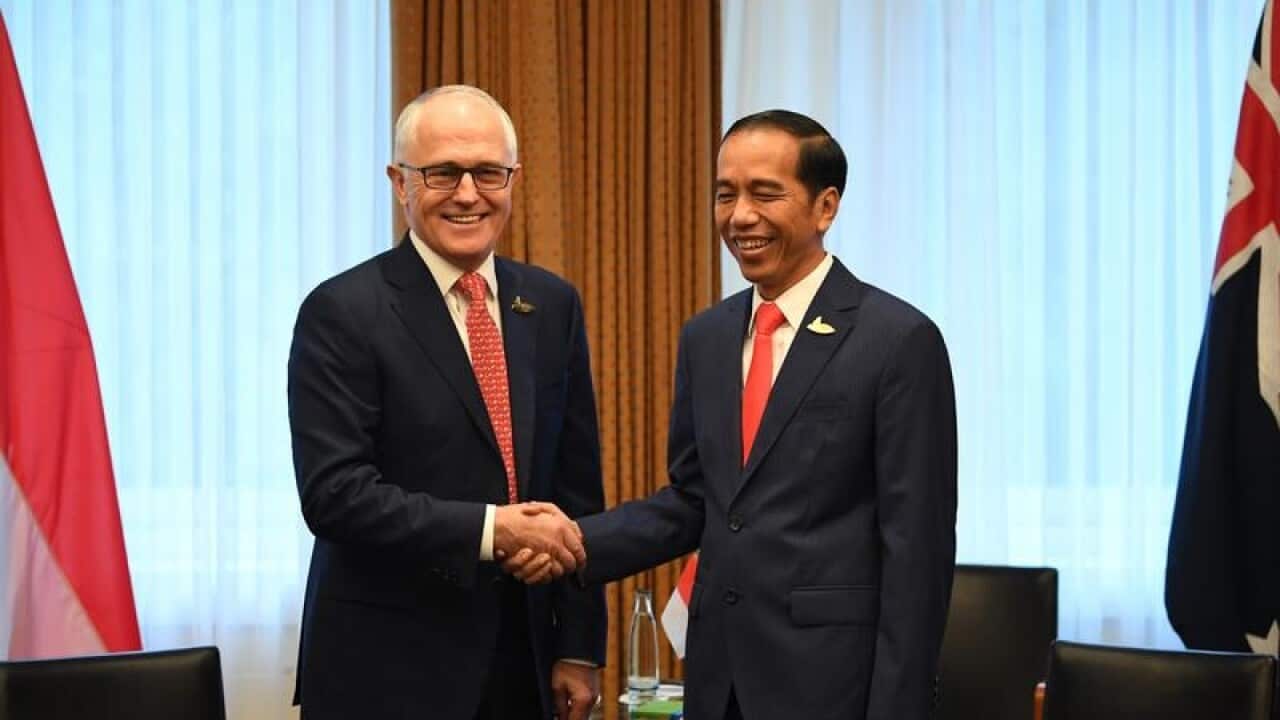 Indon Aust