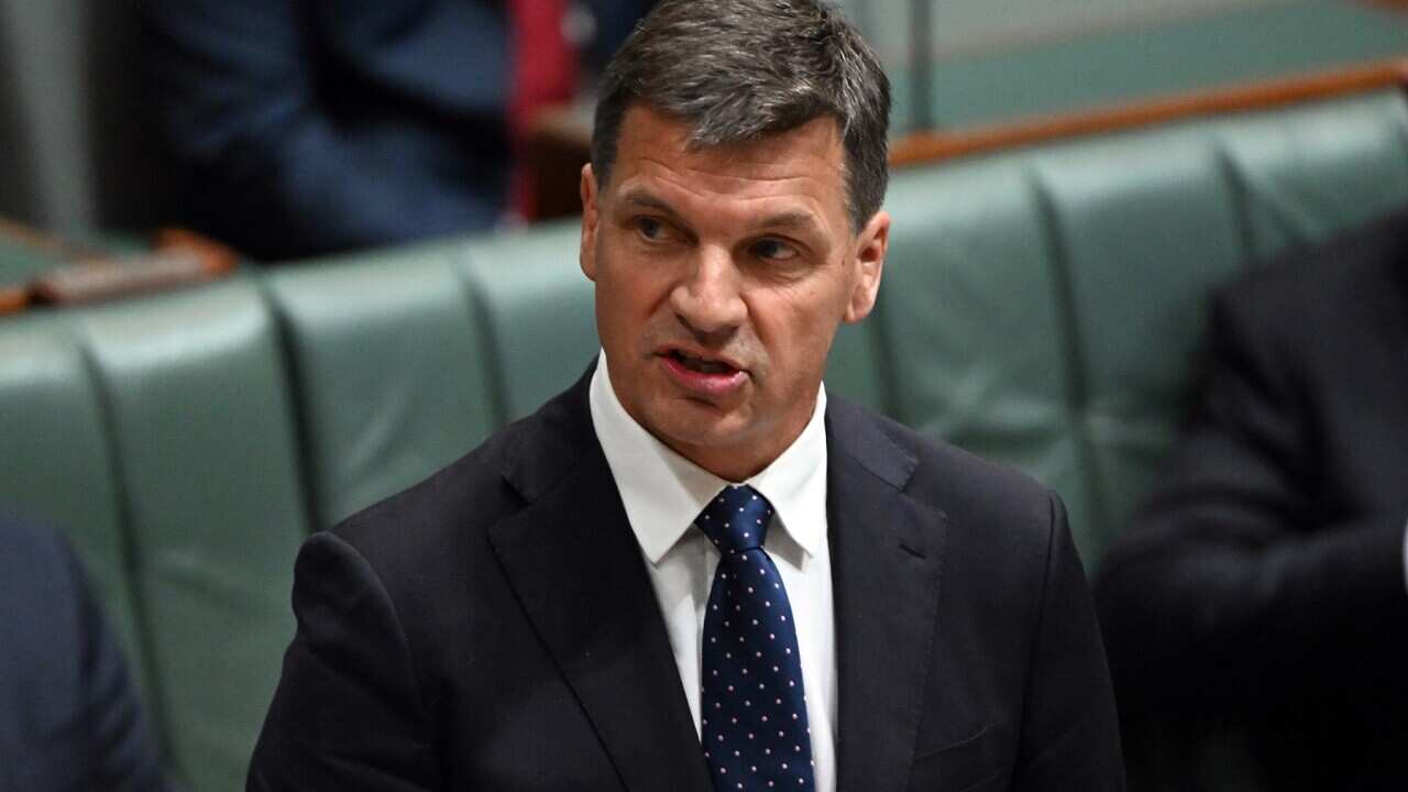 Shadow Treasurer Angus Taylor replies to Treasurer Jim Chalmers budget update in the House of Representatives at Parliament House in Canberra, Thursday, July 28, 2022. (AAP Image/Mick Tsikas) NO ARCHIVING