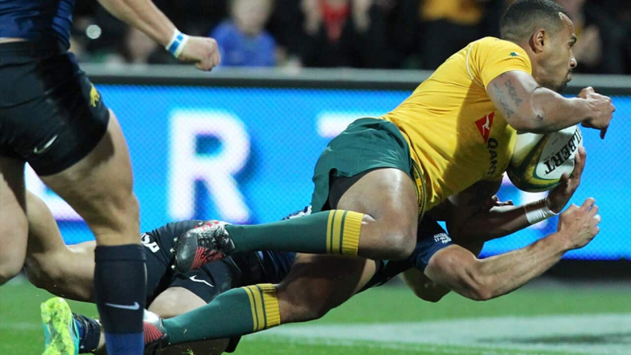 Will Genia of the Wallabies scores a try