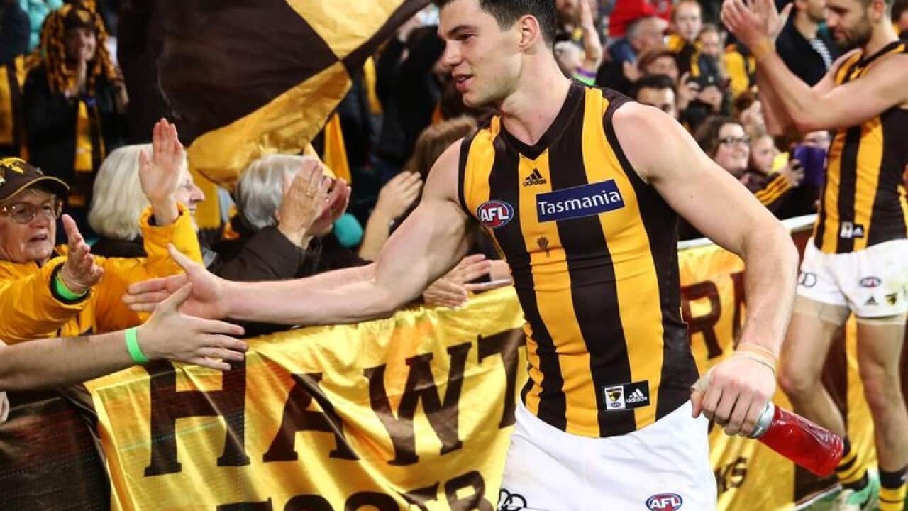 AFL Hawks
