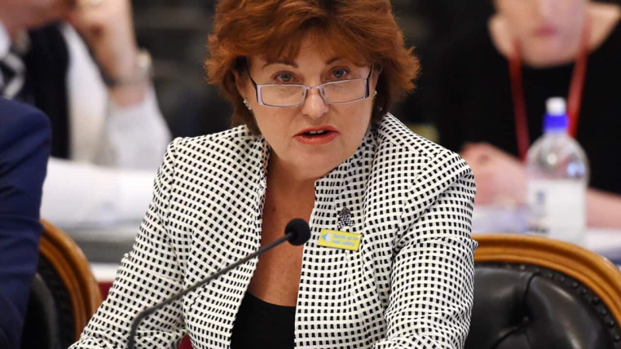 Queensland Labor MP Jo-Ann Miller