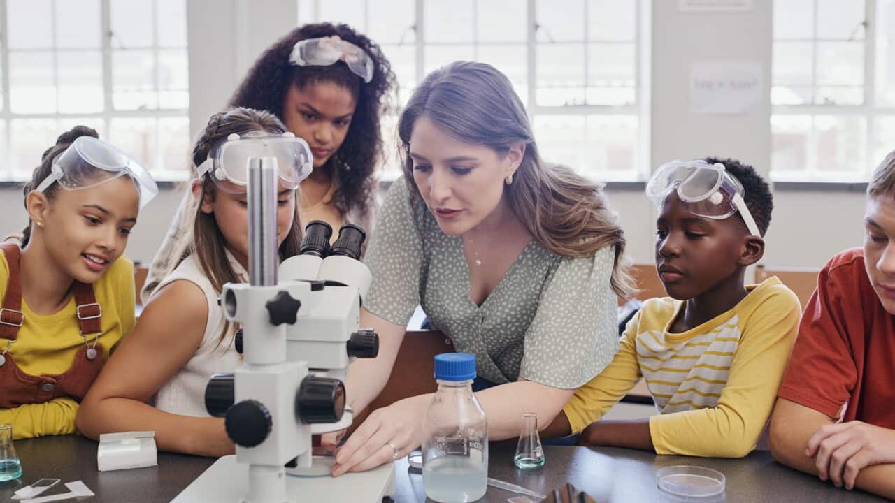 Female science teacher explaining to a classroom of young students. Boys and girls doing an experiment with adult supervision and examining substances under a microscope at school