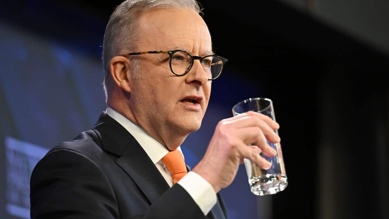 ANTHONY ALBANESE PRESS CLUB