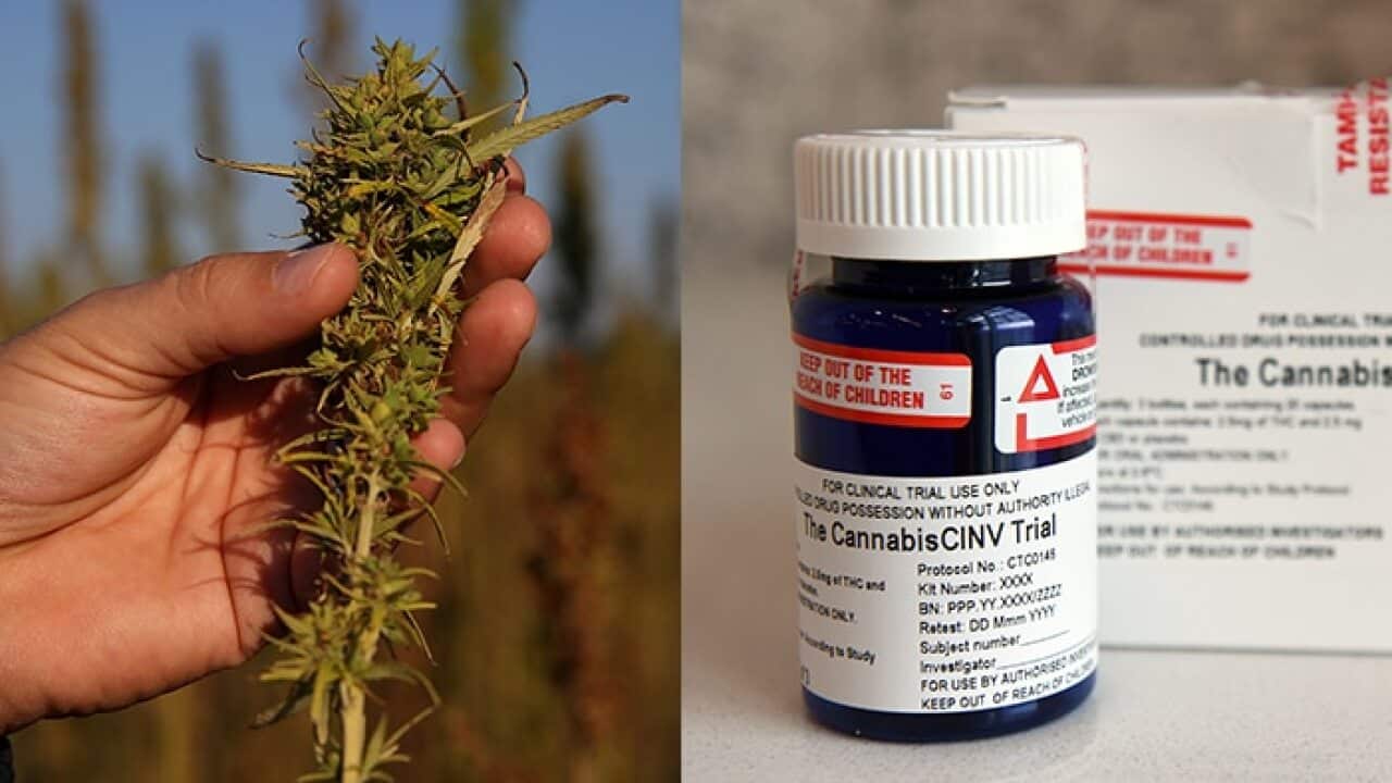 Medicinal cannabis industry sprouts in Vic