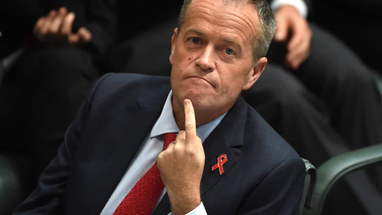 Leader of the Opposition Bill Shorten