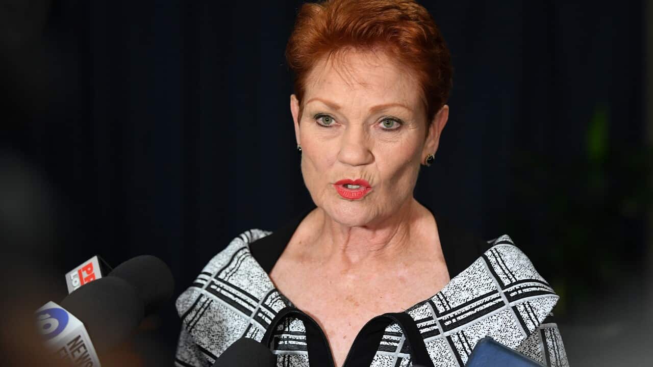 One Nation leader Senator Pauline Hanson holds a doorstop following the opening of the 57th Parliament at NSW Parliament in Sydney, Tuesday, May 7, 2019. (AAP Image/Joel Carrett) NO ARCHIVING