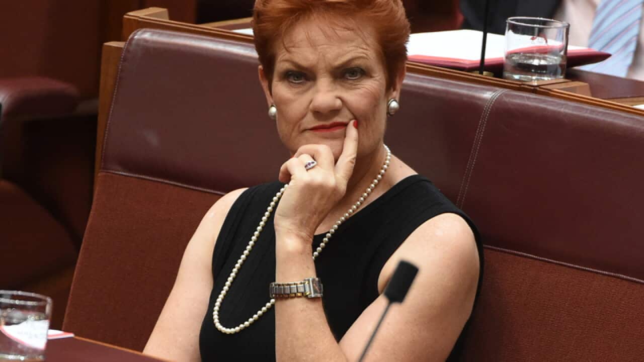 One Nation leader Senator Pauline Hanson