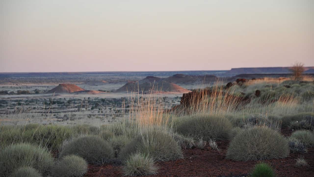 Sunset, Tanami Desert