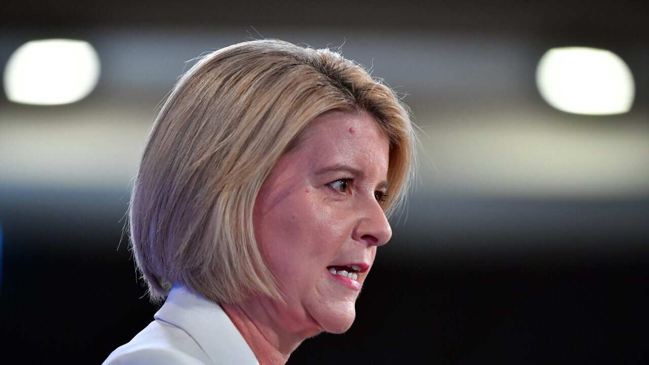 Our Watch Chair Natasha Stott Despoja says the underlying inequalities driving domestic violence must be addressed.