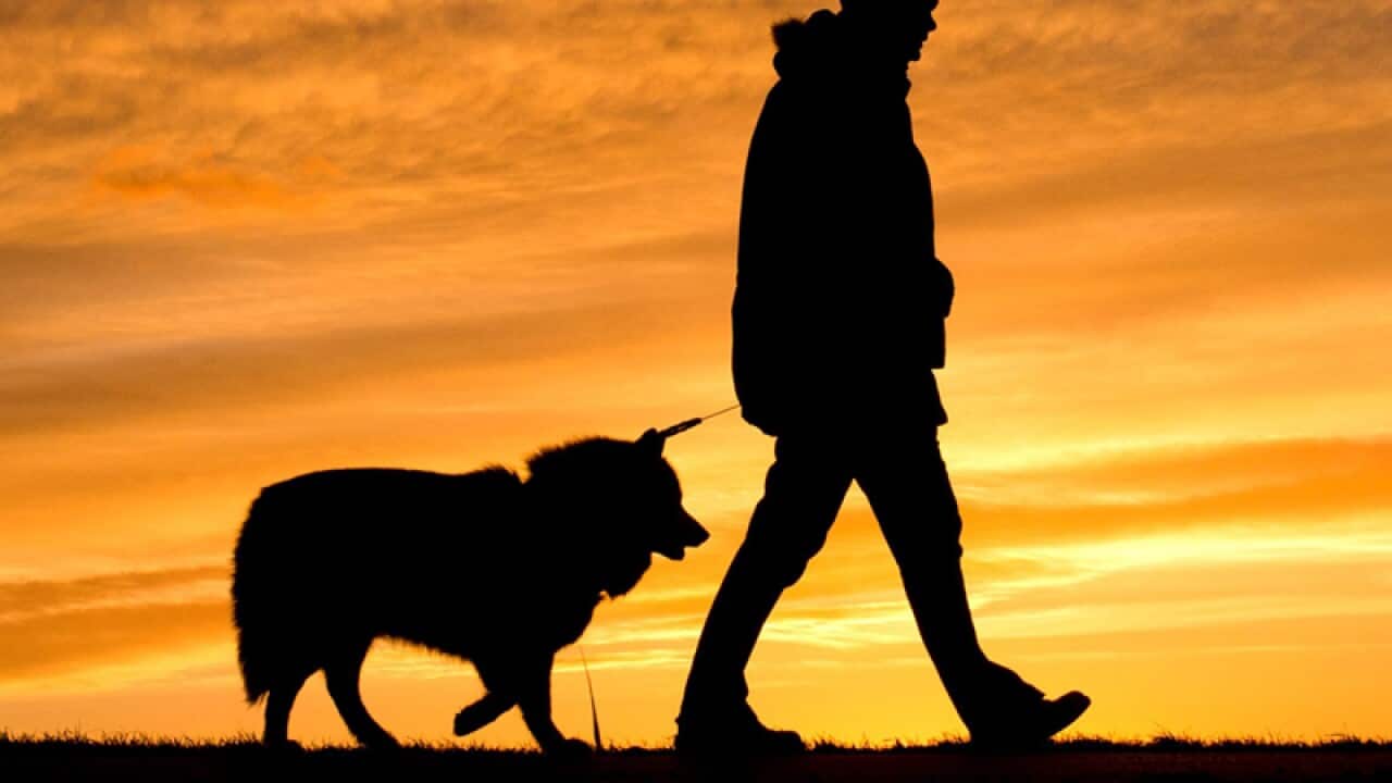 A man walks his dog