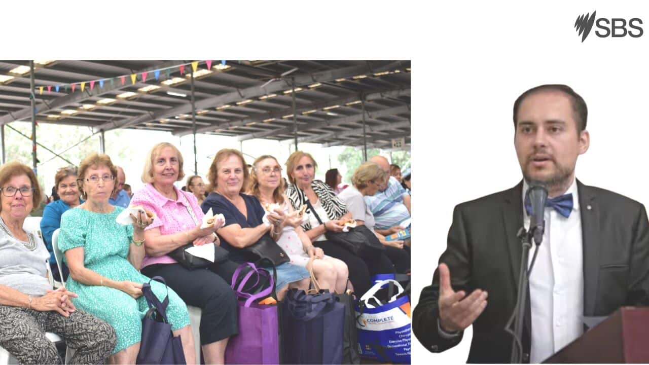 Copy of Copy of PLEASE READ ALC SBS50 CANVA TEMPLATE GUIDE.jpg