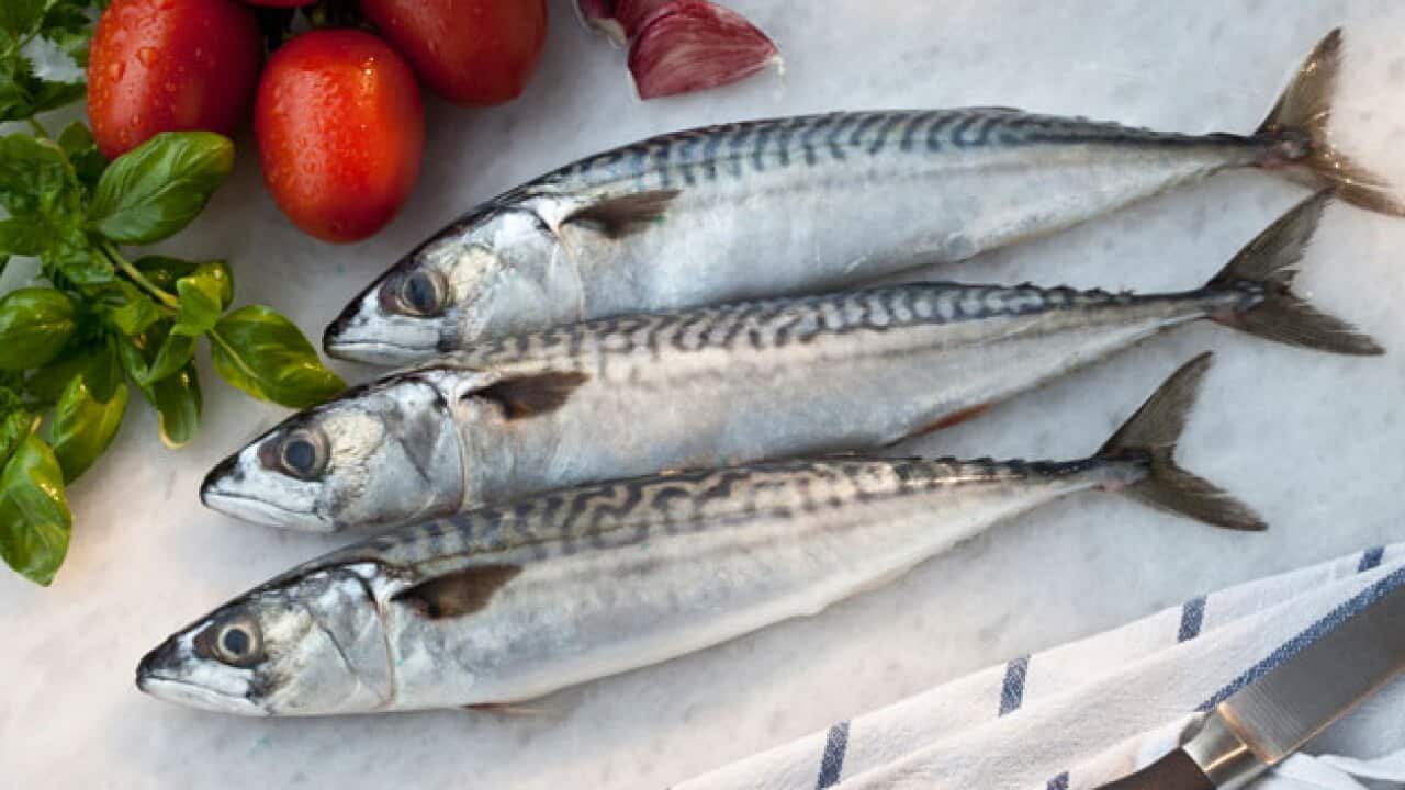 bouillabaisse-terrine_855563737