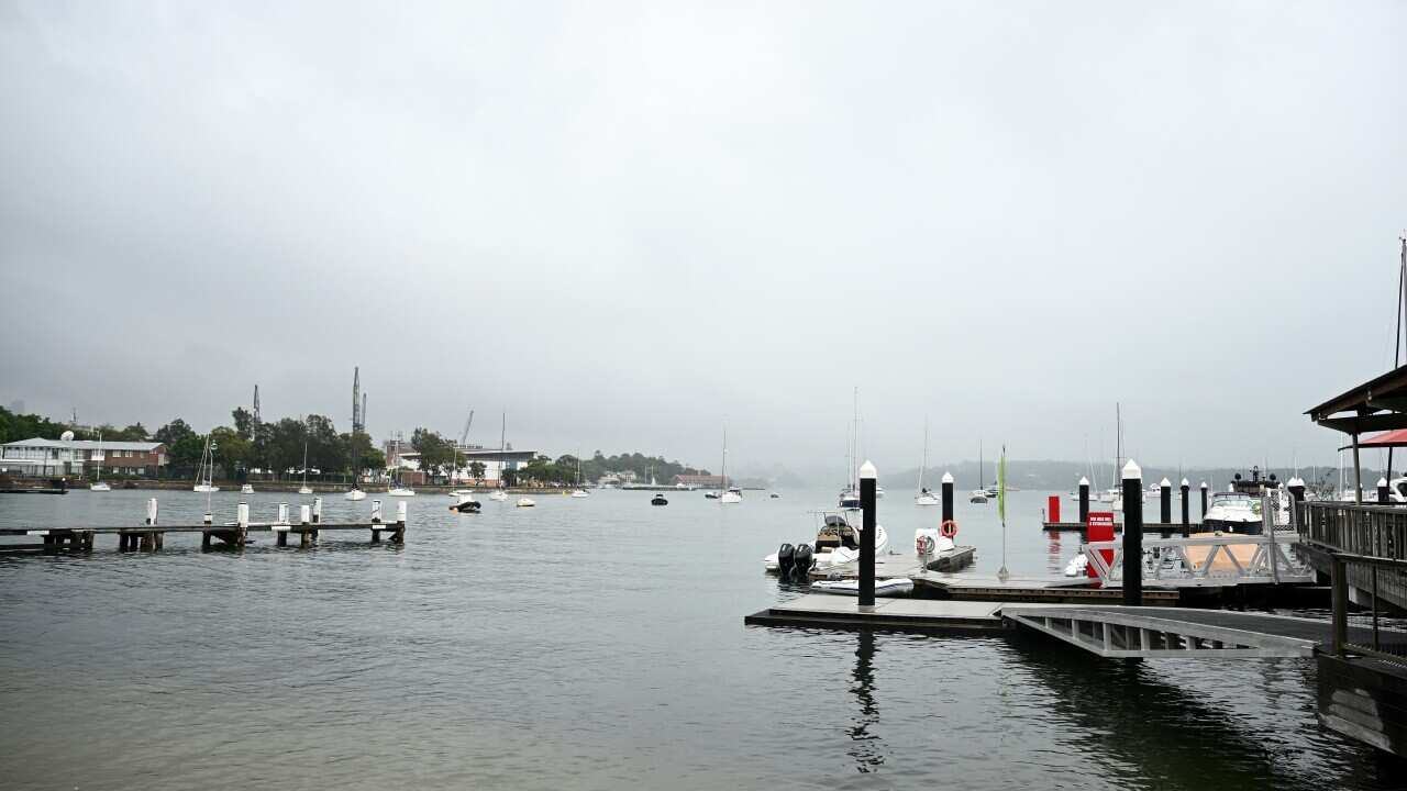 A general view of the foreshore at Elizabeth Bay