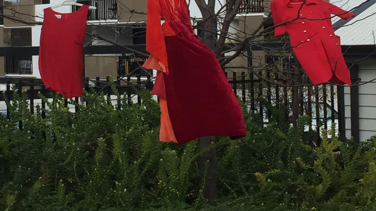 Missing and Murdered Indigenous Women and Girls - Michelle Bui