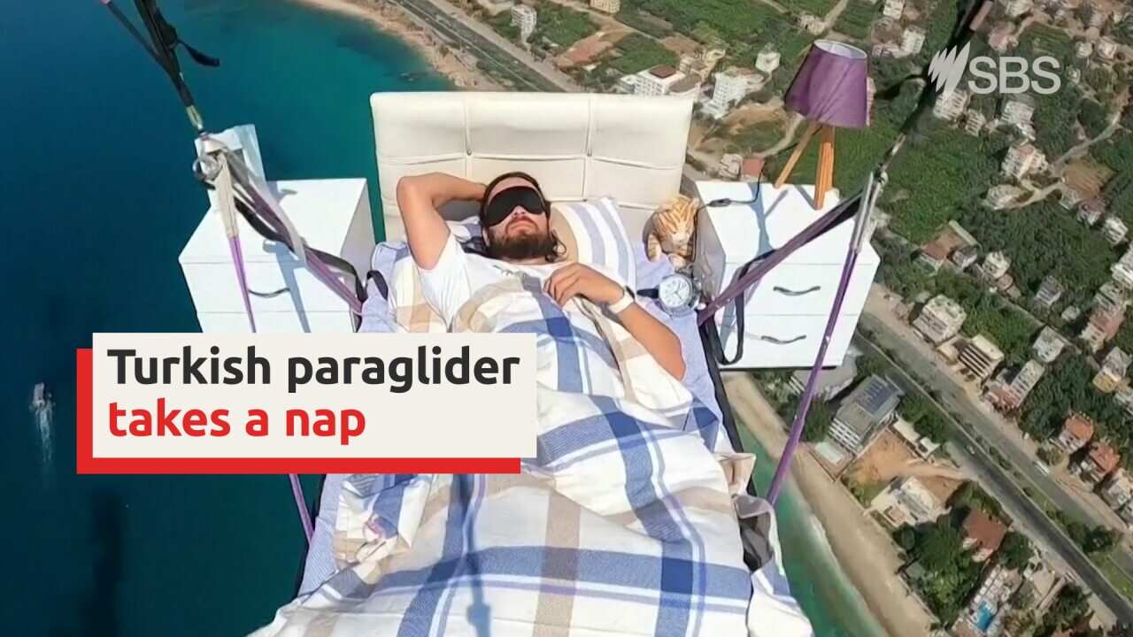 Paraglider