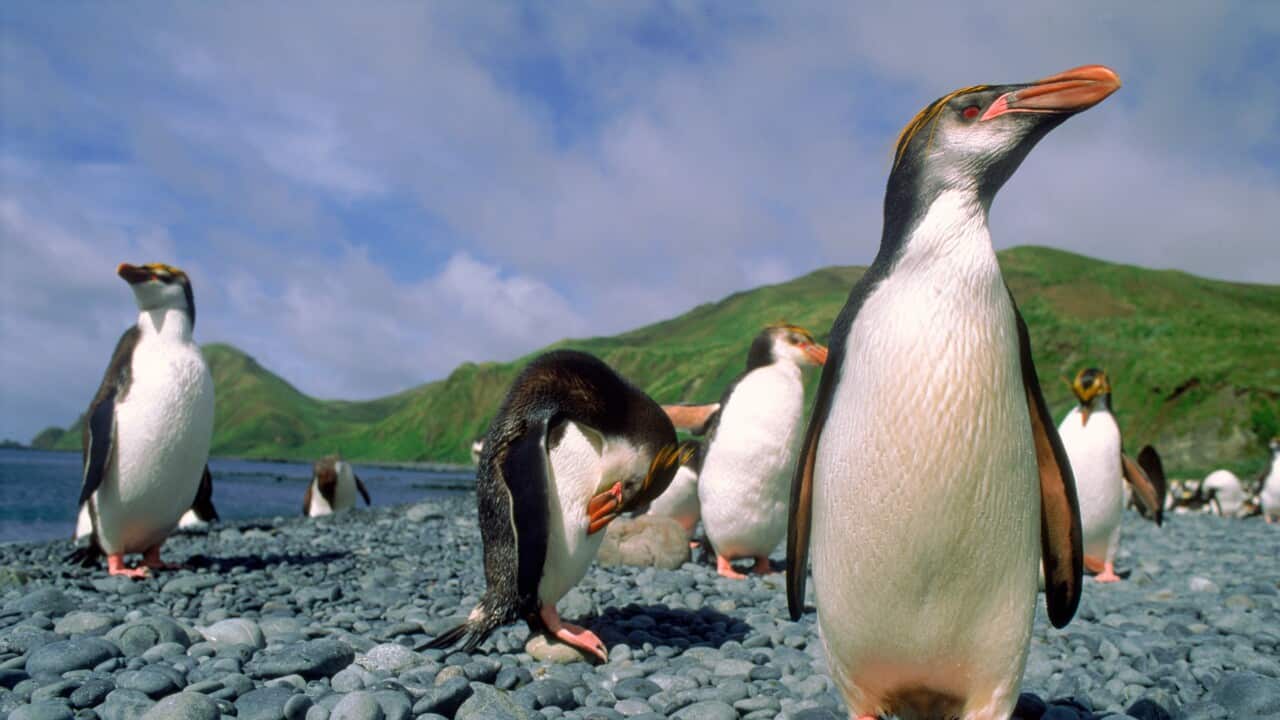 Image for read more article 'READ MORE'