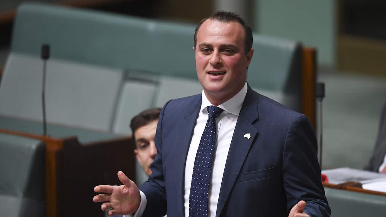 Twitter has mixed feelings about Liberal MP Tim Wilson’s engagement