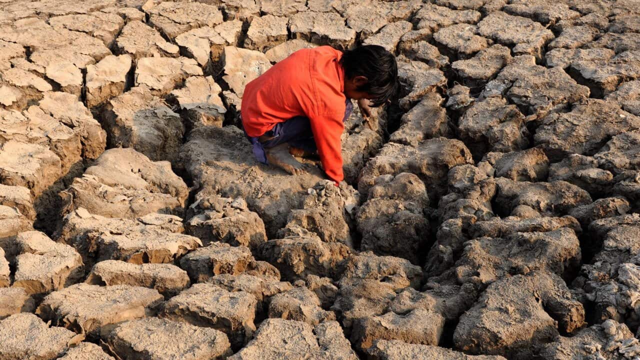 A child salt miner salt in central India - AAP.jpg