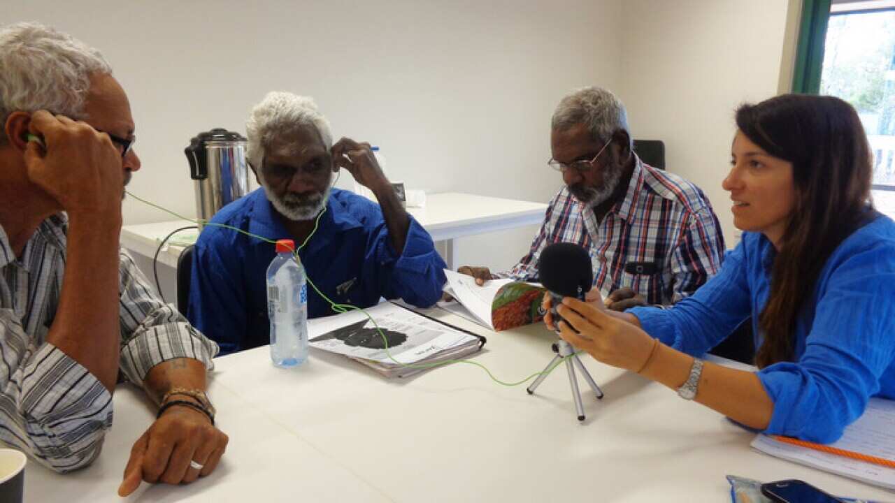 Sophie Rendina at work