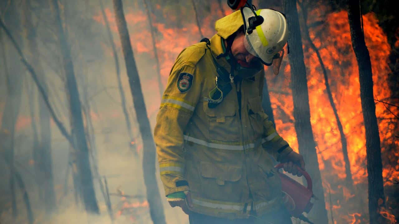 NSW Rural Fire fighters establish a backburn in Mangrove Mountain, New South Wales, Sunday, 8 December, 2019.