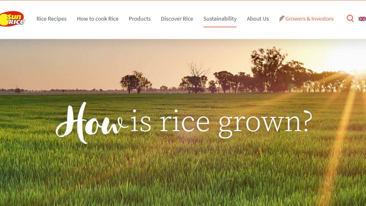 rice crisis