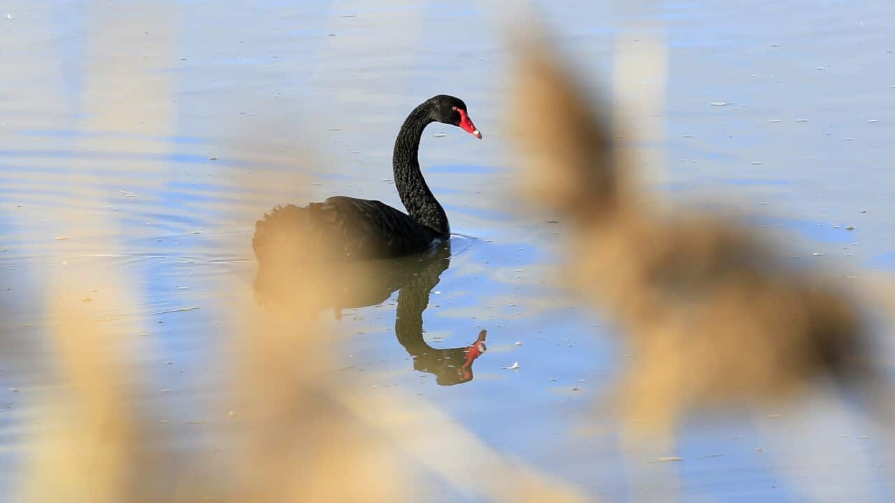 Image for read more article 'READ MORE'