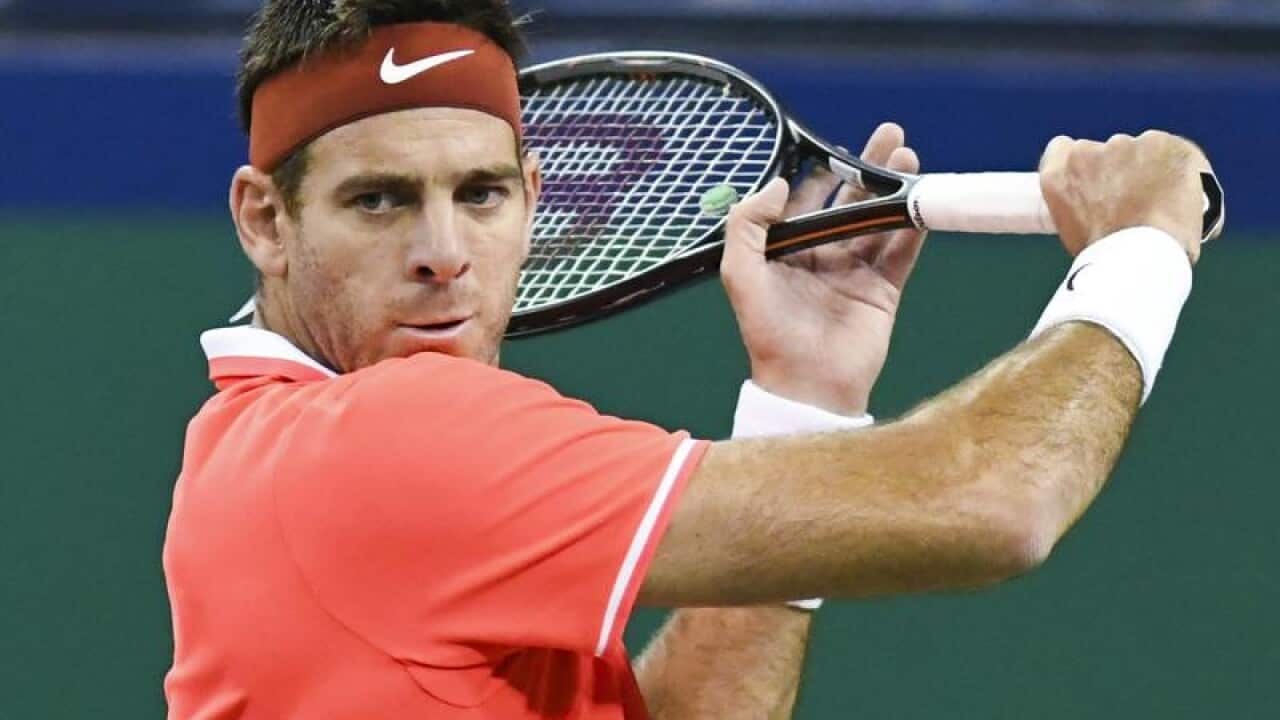 Juan Martin Del Potro