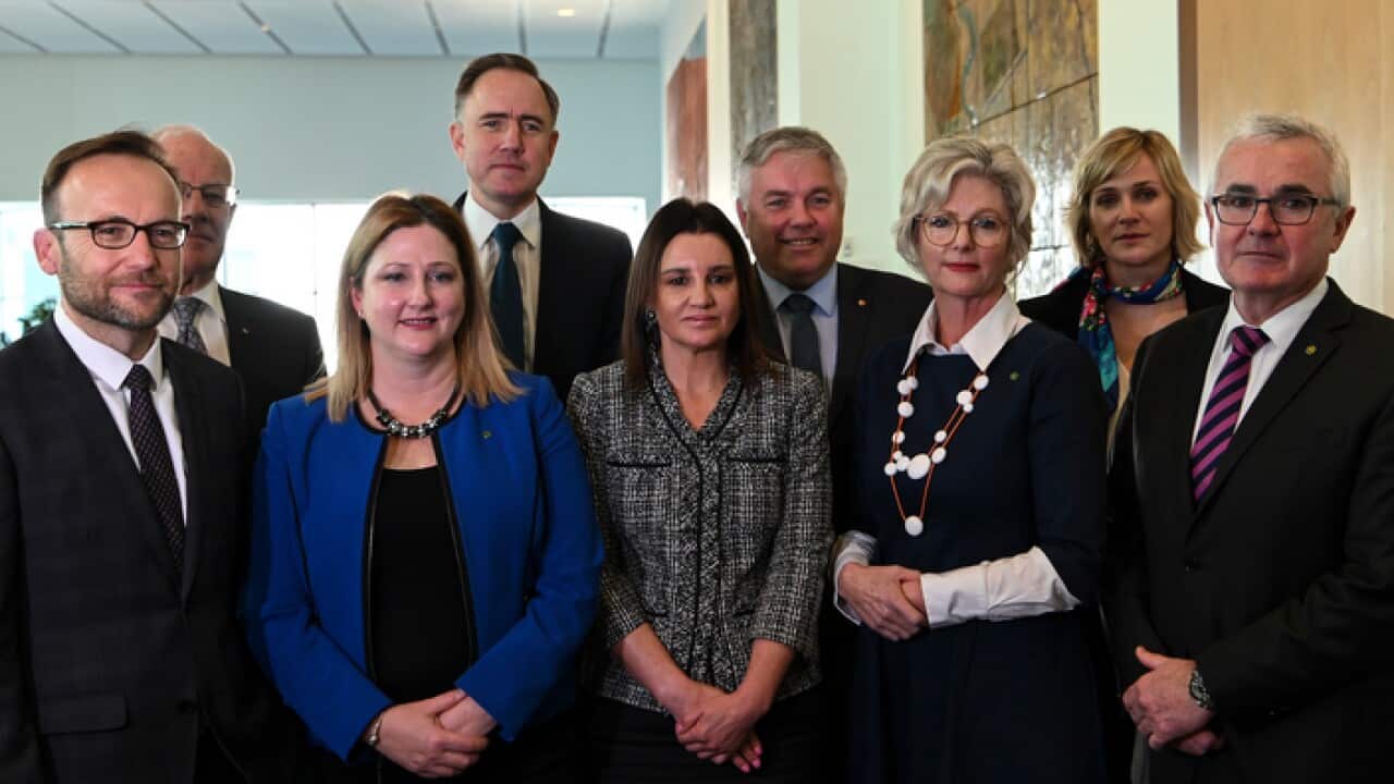 A coalition of crossbench members of parliament, a retired supreme court judge and a progressive think tank want a national corruption watchdog.