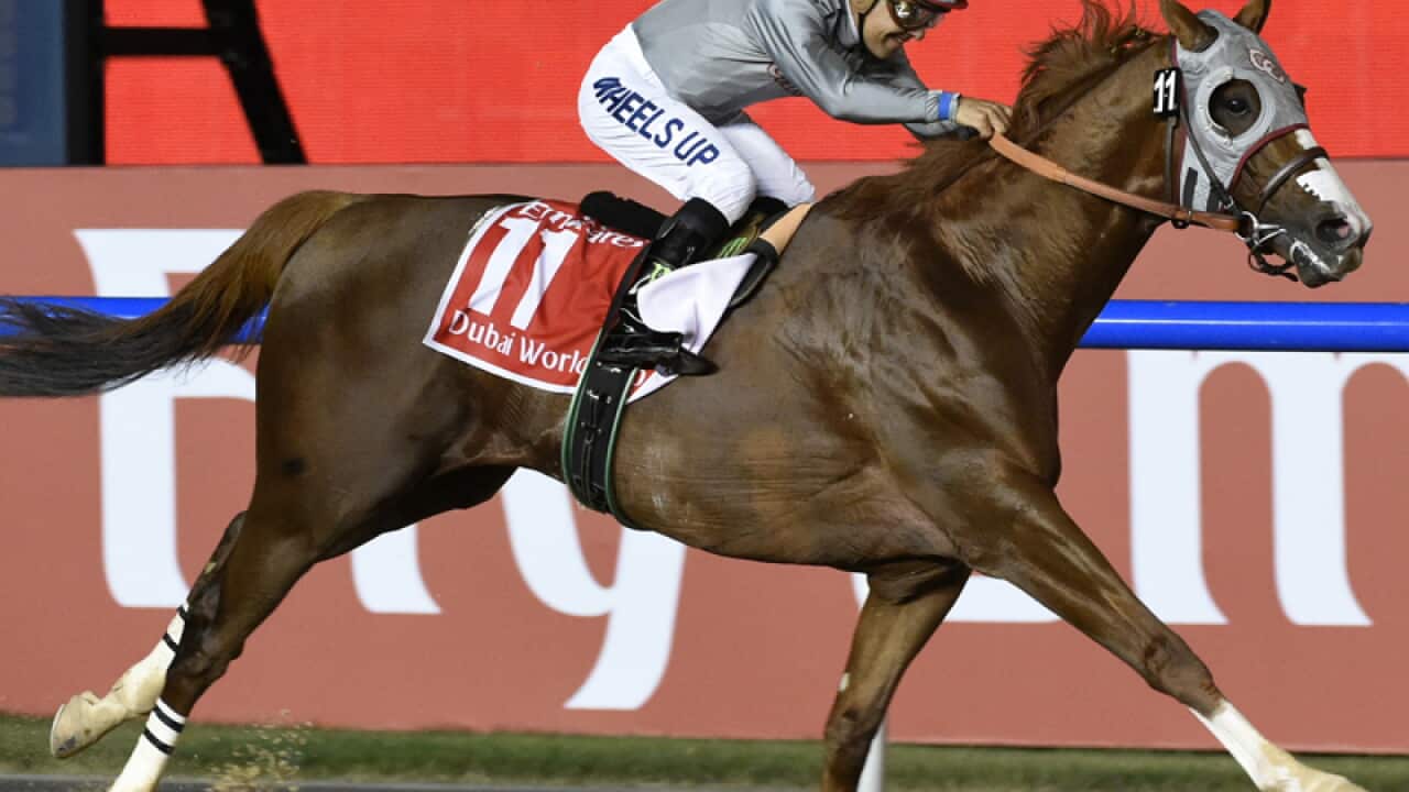California Chrome from the U.S. ridden by Victor Espinoza