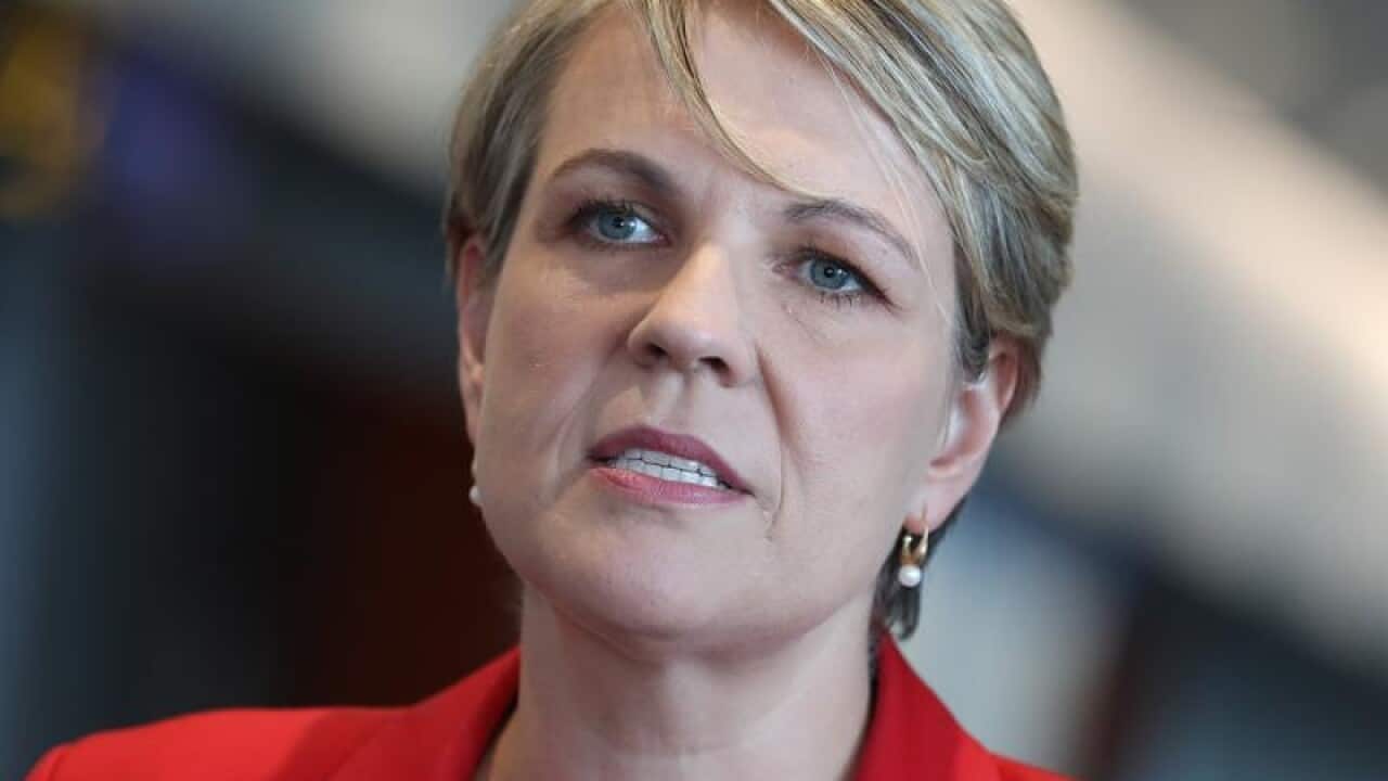 Tanya Plibersek speaks.