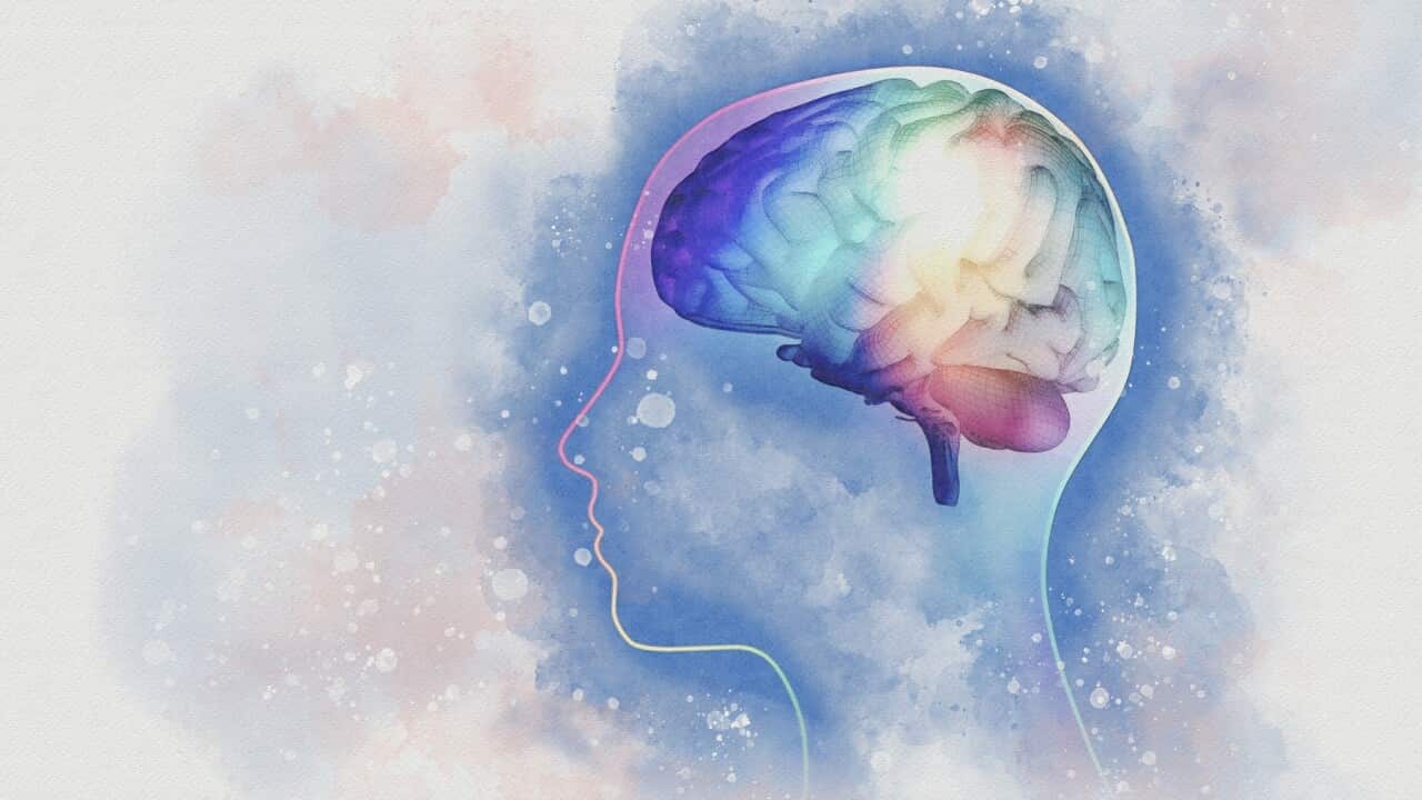 Human brain, illustration