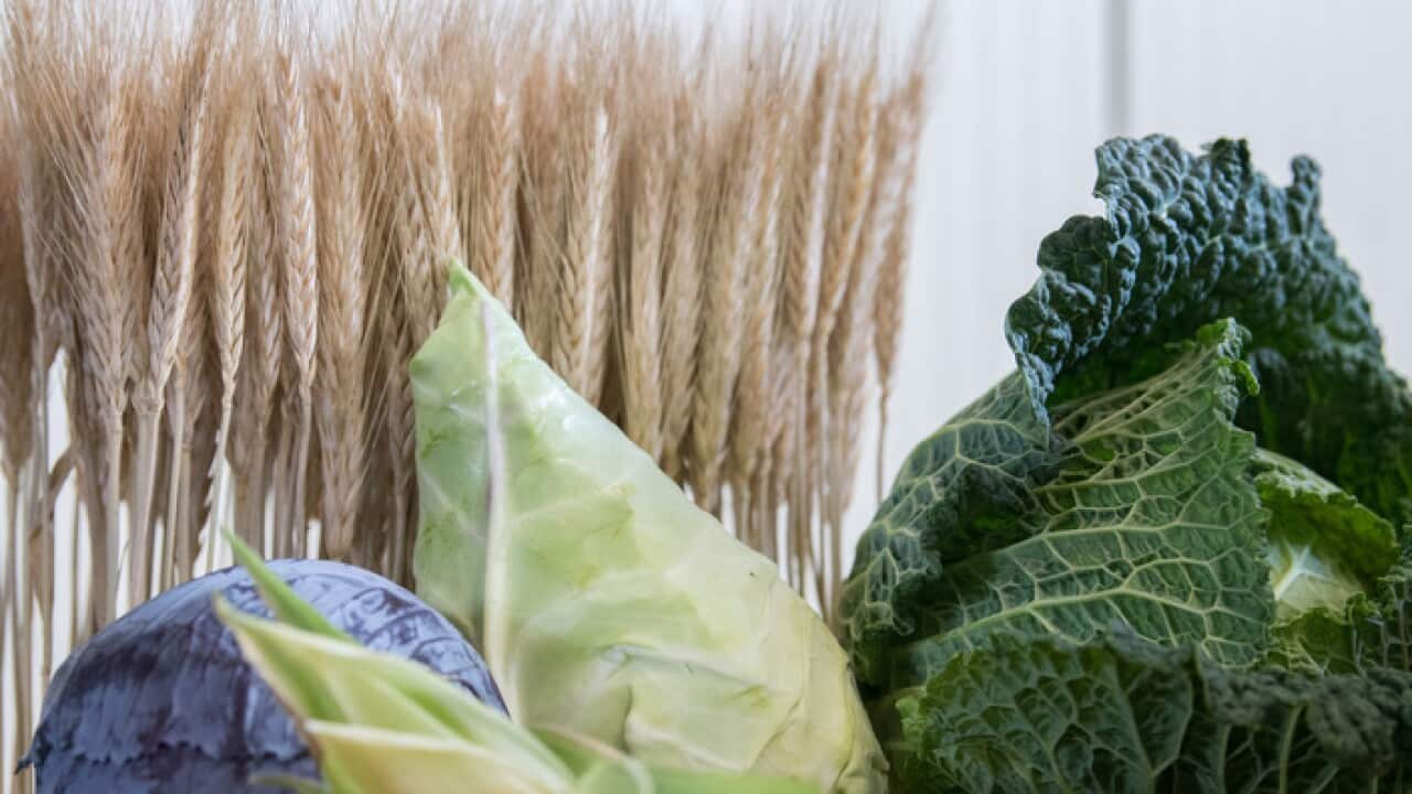 Baden-Wurttemberg farmers on harvest