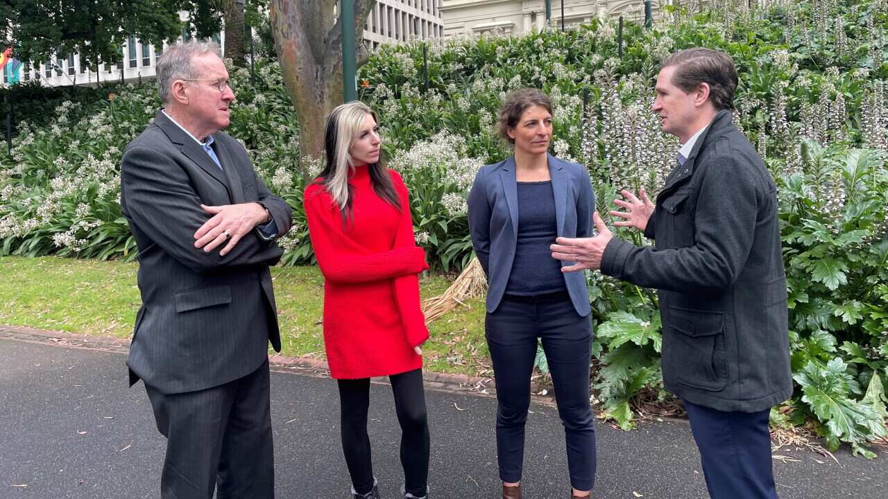 (L to R) Robert Tickner, Sara Stilianos, Mindy Sotiri and Marius Smith (SBS).jpg