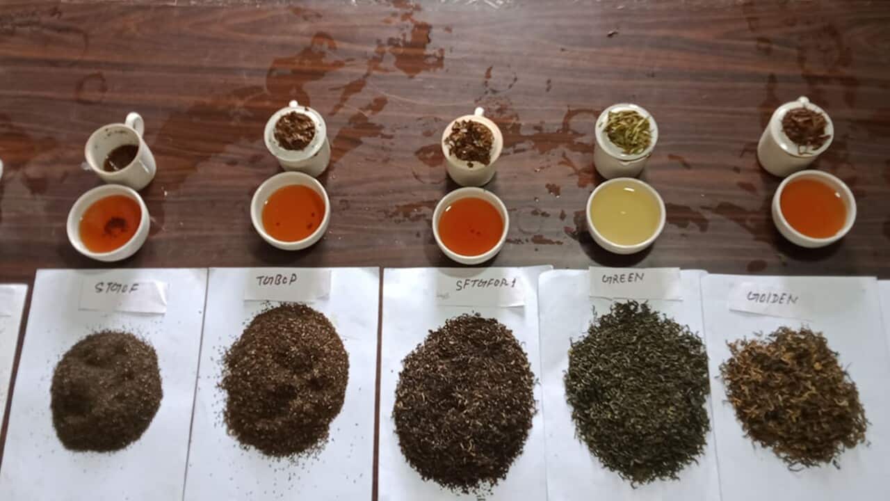 Nepali Tea has got the brand name.