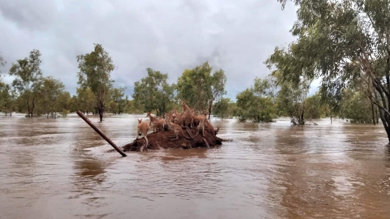 Image for read more article 'READ MORE'