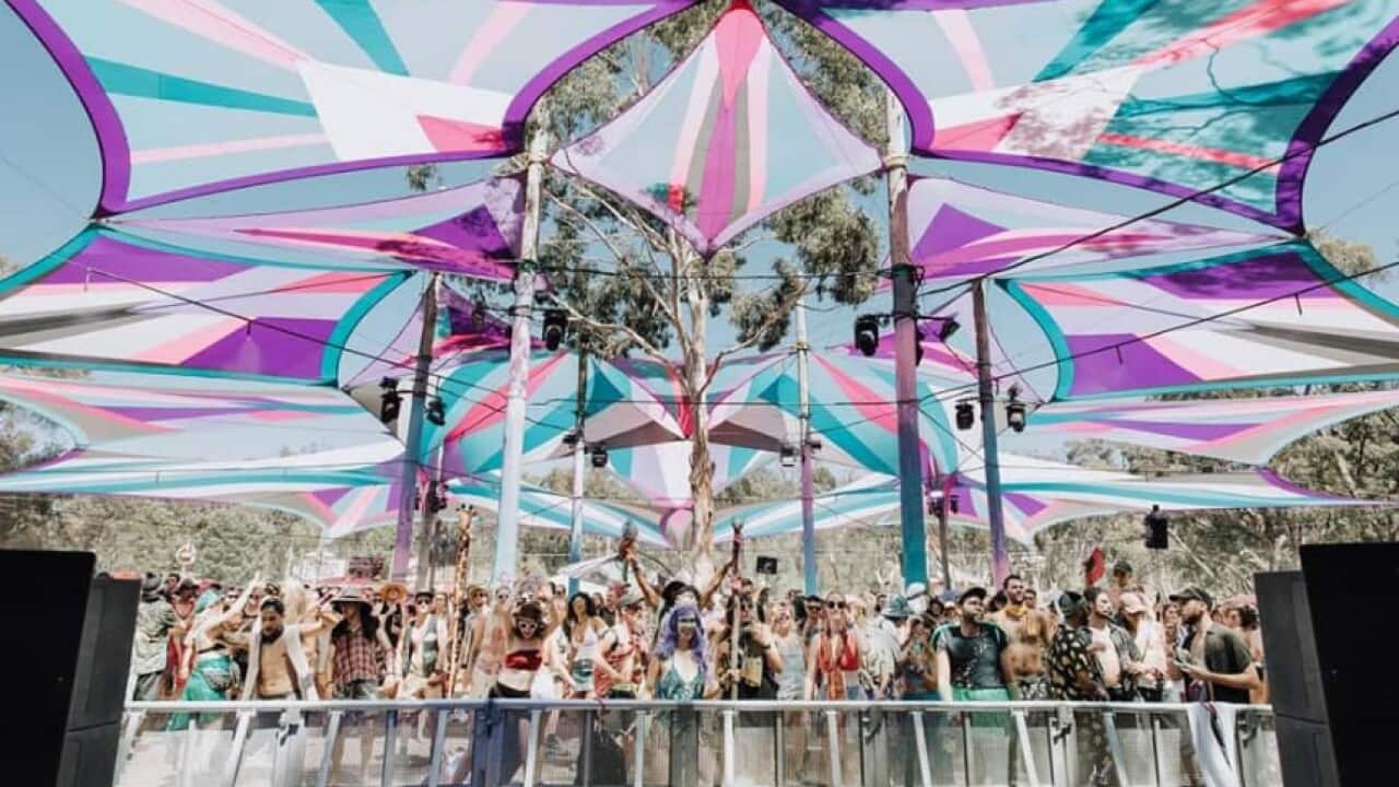 Thirty years of failed government drug policy is to blame for six overdoses at a music festival in country Victoria, festival organisers claim.