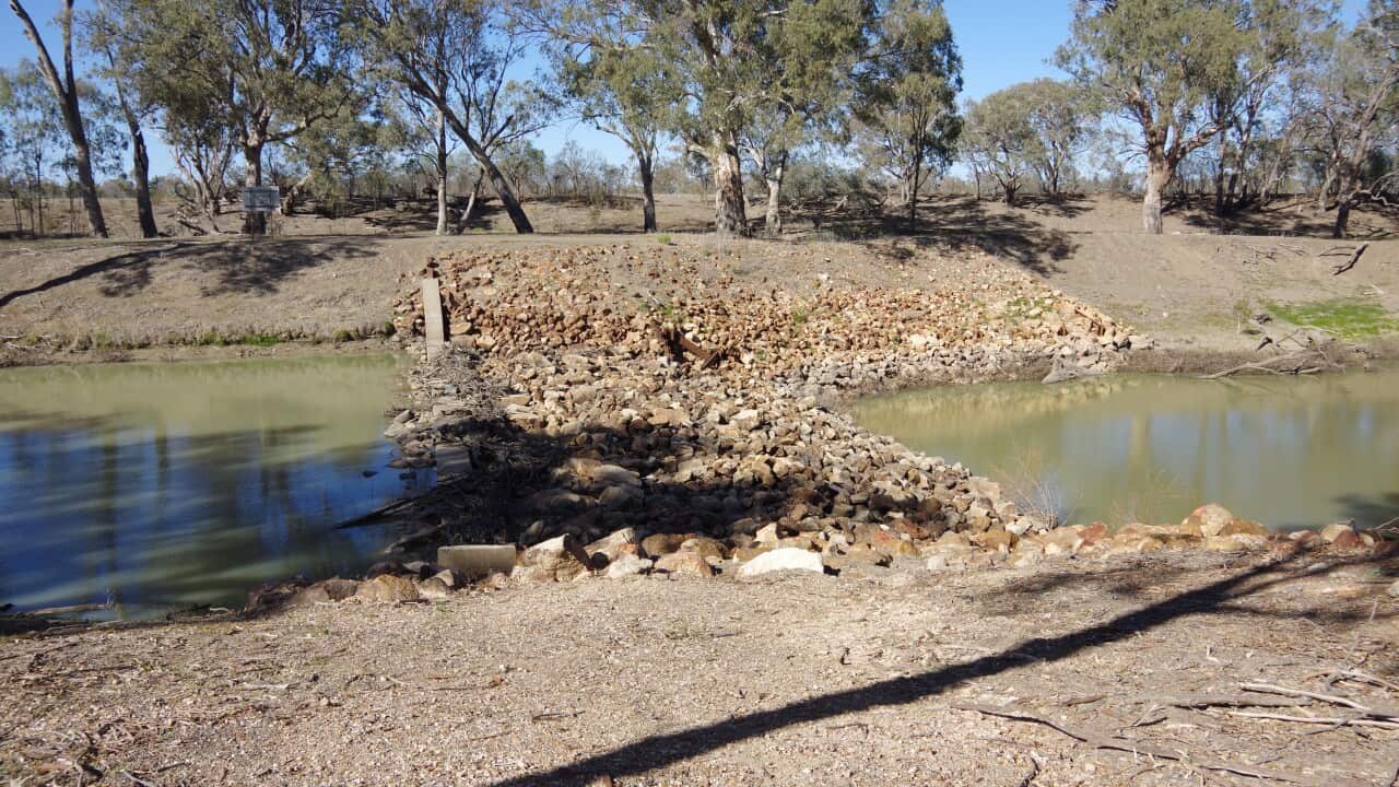 Chief executive of the Walgett Local Aboriginal Land Council, Kelli Randell, told NITV News that said “enough is enough”.