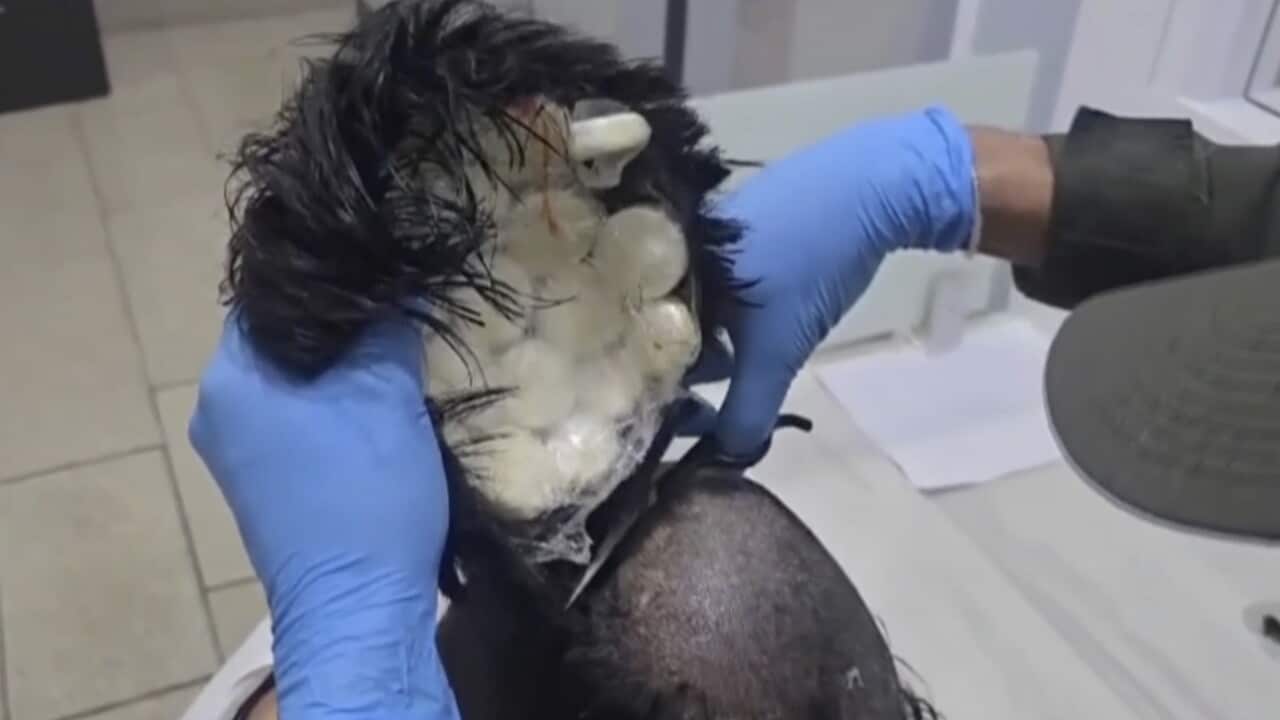 Colombia Cocaine Wig