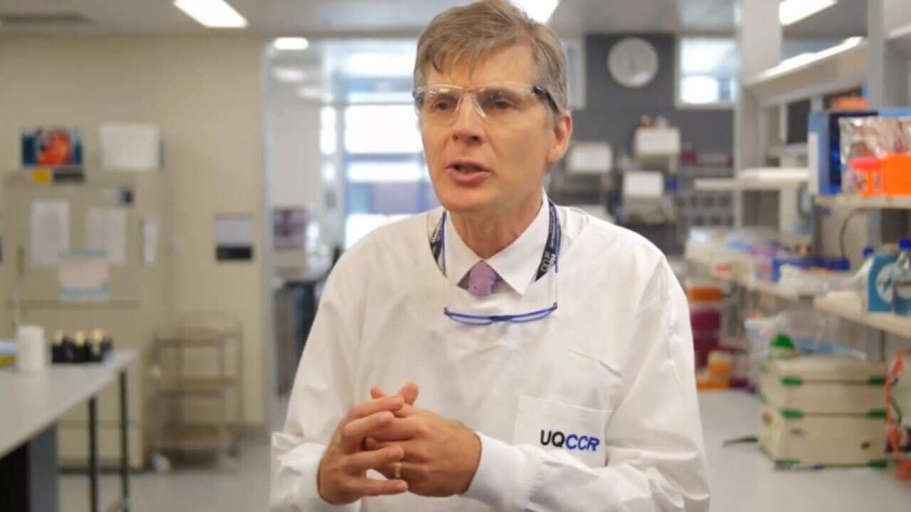 University of Queensland Centre for Clinical Research director Professor David Paterson